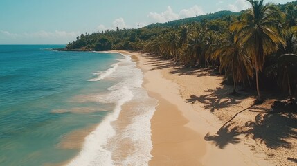 Tropical Beach Paradise White Sand Shore and Azure Ocean Waves