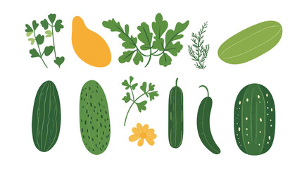 Cucumber Vector Illustration &ndash; Fresh and Crisp Cucumber Graphic Design