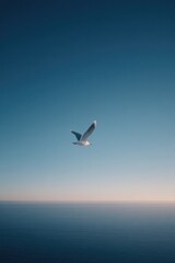 Fototapeta premium solitary seagull glides effortlessly over serene vast ocean under expansive sky providing perfect minimalistic scene