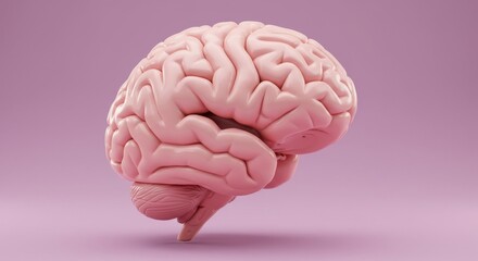 Exploring the Intricate Landscape of the Human Brain: A 3D Render