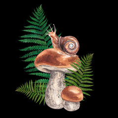Birch bolete with fern and snail. Watercolor hand-drawn illustration. Composition for postcards and invitations on the theme of forest and nature.