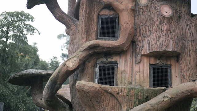 Footage of Tree-kangaroo cage at the zoo