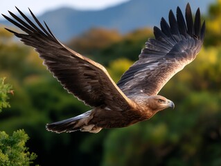 Majestic golden eagle soaring through the forest
