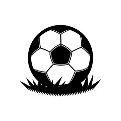 Obraz premium a soccer ball on a grassy field on white 