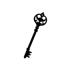 skeleton key  different from a regular vintage key 