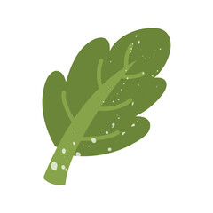 Green oak leaf with texture. Flat color isolated illustration with doodle elements. Greenery in the garden. Suitable for decorating children's and nature projects, prints, packaging, blogs