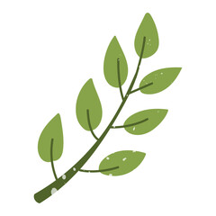 birch branch with a texture. Flat color isolated illustration with doodle elements. Greenery in the garden. Suitable for decorating children's and nature projects, prints, packaging, blogs