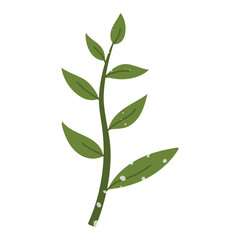 green deciduous branch with a texture. Flat color isolated illustration with doodle elements. Greenery in the garden. Suitable for decorating children's and nature projects, prints, packaging, blogs