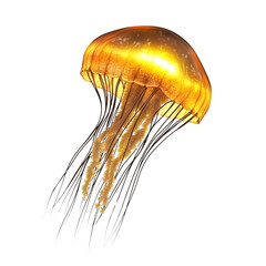 Golden jellyfish with long tentacles floating in deep ocean on a transparent background Concept of marine life, underwater world, and bioluminescence