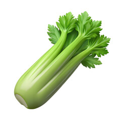 Fresh Green Celery. Nature's Crisp and Healthy Vegetable