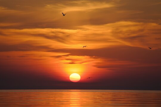 A mesmerizing sunset over a tranquil ocean, with warm hues of orange, red, and yellow blending in the sky. Clouds partially veil the sun, while three birds soar.