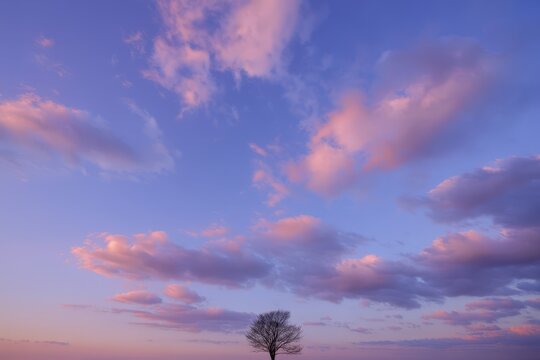 A lone leafless tree stands under a dreamy sky at sunset, surrounded by soft pink and purple hues. The peaceful, serene atmosphere evokes solitude and beauty.