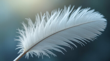 Obraz premium Close-Up of a Bird Feather – Delicate Structure and Intricate Details in Ultra-Realistic Microphotography