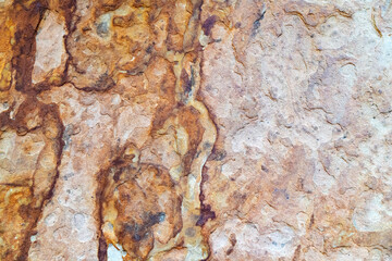 Organic Rock Swirls. Curved mineral lines with orange color palette.