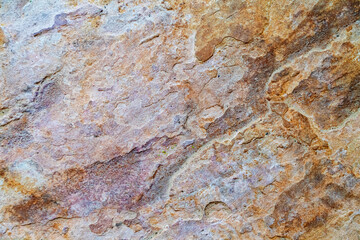 layered sandstone with rich brown and orange tones, Detailed texture from sedimentary rock surface.