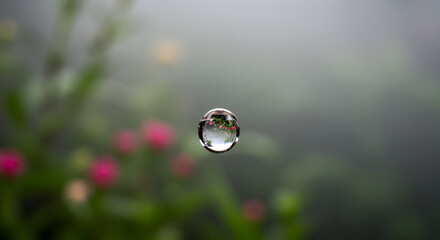 Intricate Water Globe Capturing Floral Reflections On Misty Background