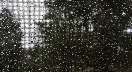 Raindrops On Mesh Screen With Blurred Trees In The Background