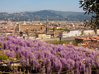 Italia, Toscana, Firenze, il Giardino di villa Bardini.