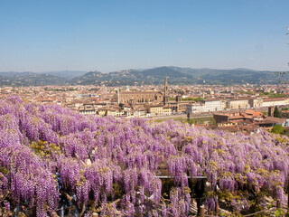Italia, Toscana, Firenze, il Giardino di villa Bardini.