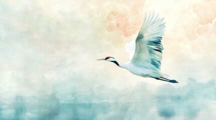 Japanese Crane Flying Over a Peaceful Lake Standard 6x