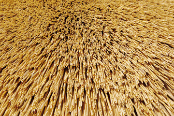 Ecological thatched roofs. Traditional straw roof is sustainable and renewable material.