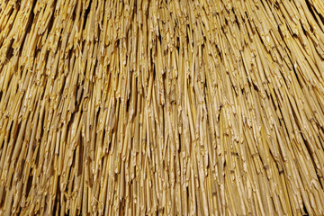 Ecological thatched roofs. Traditional straw roof is sustainable and renewable material.