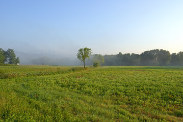 Fantastic beauty of nature at dawn in suburbs of New Paltz, NY, United States