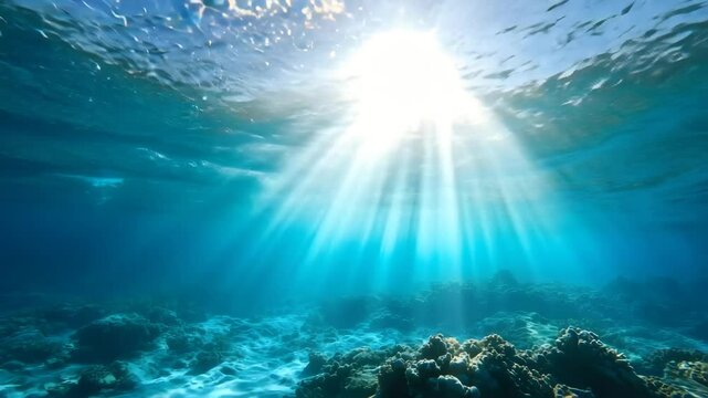 太陽光が降り注ぐ静かな熱帯海域の海中と海底地形の広がり