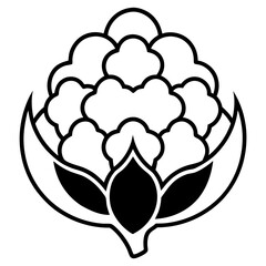 Cauliflower icon line art vector