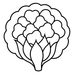 Obraz premium Cauliflower icon line art vector