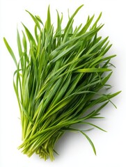 Fototapeta premium Fresh green grass and vibrant leaves isolated on a bright background. The details of the grass blades showcase freshness and vitality