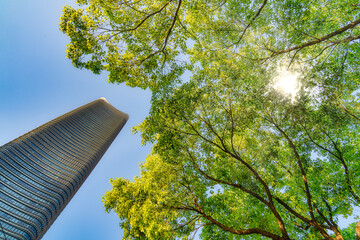 Sustainable glass office building with trees reflects corporate environmental responsibility. Modern eco office reduces carbon dioxide. Green environment concept
