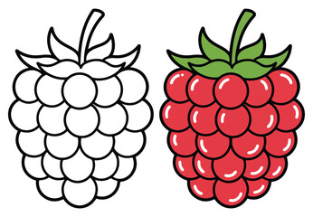 Raspberry Line Art Vector Outline Illustration Black and White with Coloring Sample. Bold and Easy Food, Fruits, Sweets, Drinks, Dessert, and Snacks Coloring Pages for Adults, Kids, and Toddlers
