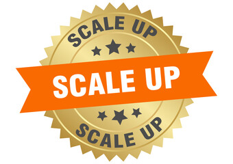 scale up. scale up round orange and gold label isolated on transparent background