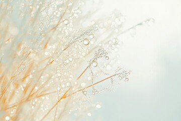 Delicate plant stems adorned with glistening morning dew drops, creating a dreamy, ethereal scene.