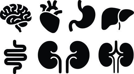 Essential Internal Organs Striking Human Anatomy Vector Icons
