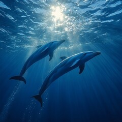 Underwater Dolphins Swimming in Sunlit Blue Ocean