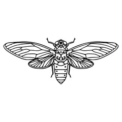 cicada insect outline vector illustration