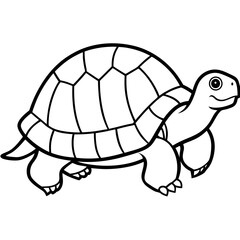 Abstract Tortoise Line Drawing