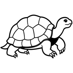 Abstract Tortoise Line Drawing
