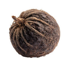 Dried tamarind ball isolated on transparent background