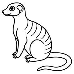 Elegant Meerkat Sketch