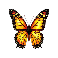 Obraz premium Solar Flutter A Monarch's Golden Dance