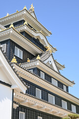 Fototapeta premium 岡山城・天守閣