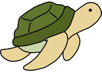 거북이