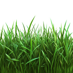 Obraz premium Vibrant Green Grass Blades Texture Lush Meadow Nature Background Image