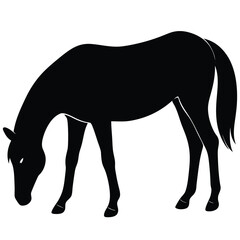 Majestic Horse Silhouette Elegant Black and White Equine Illustration