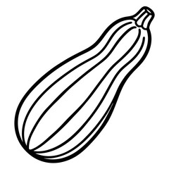Zucchini icon vector