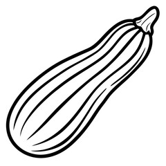 Zucchini icon vector