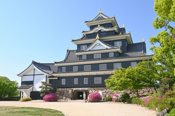 Obraz premium 岡山城・天守閣